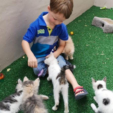 SPCA_VolunteerGallery_002