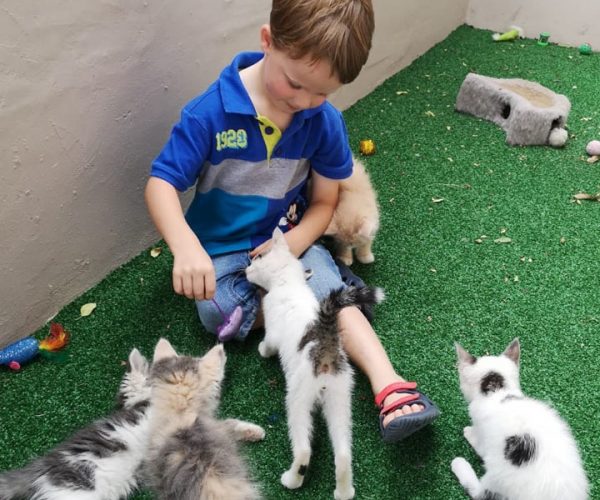 SPCA_VolunteerGallery_002