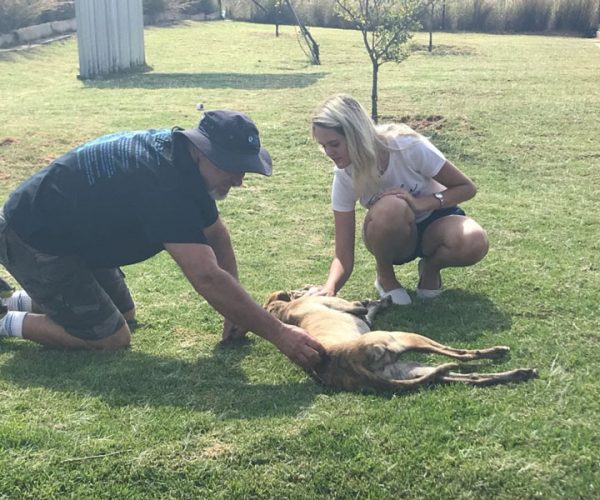 SPCA_VolunteerGallery_005